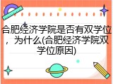 合肥经济学院是否有双学位，为什么(合肥经济学院双学位原因)