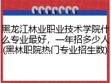黑龙江林业职业技术学院什么专业最好，一年招多少人(黑林职院热门专业招生数)