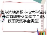 哈尔滨铁道职业技术学院共开设有哪些类型奖学金(哈铁职院奖学金类型)