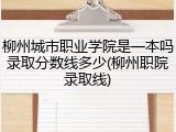 柳州城市职业学院是一本吗录取分数线多少(柳州职院录取线)