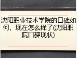 沈阳职业技术学院的口碑如何，现在怎么样了(沈阳职院口碑现状)