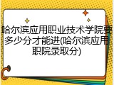 哈尔滨应用职业技术学院要多少分才能进(哈尔滨应用职院录取分)