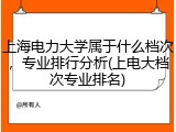 上海电力大学属于什么档次，专业排行分析(上电大档次专业排名)
