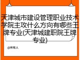 天津城市建设管理职业技术学院主攻什么方向有哪些王牌专业(天津城建职院王牌专业)
