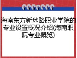 海南东方新丝路职业学院的专业设置概况介绍(海南职院专业概览)