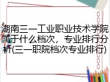 湖南三一工业职业技术学院属于什么档次，专业排行分析(三一职院档次专业排行)