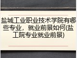盐城工业职业技术学院有哪些专业，就业前景如何(盐工院专业就业前景)