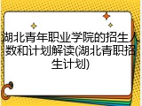 湖北青年职业学院的招生人数和计划解读(湖北青职招生计划)