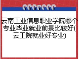 云南工业信息职业学院哪个专业毕业就业前景比较好(云工院就业好专业)