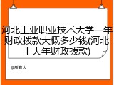 河北工业职业技术大学一年财政拨款大概多少钱(河北工大年财政拨款)