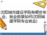 沈阳城市建设学院有哪些专业，就业前景如何(沈阳城建学院专业就业)