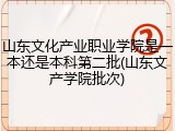山东文化产业职业学院是一本还是本科第二批(山东文产学院批次)