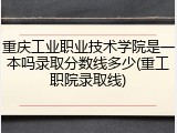 重庆工业职业技术学院是一本吗录取分数线多少(重工职院录取线)