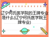 辽宁何氏医学院的王牌专业是什么(辽宁何氏医学院王牌专业)
