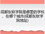 成都东软学院是哪里的学校，在哪个城市(成都东软学院地址)