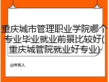 重庆城市管理职业学院哪个专业毕业就业前景比较好(重庆城管院就业好专业)