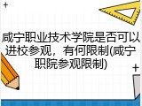 咸宁职业技术学院是否可以进校参观，有何限制(咸宁职院参观限制)