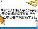 西安电子科技大学长安学院开设有哪些奖学和助学金(西电长安学院奖助学金)