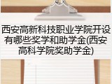 西安高新科技职业学院开设有哪些奖学和助学金(西安高科学院奖助学金)