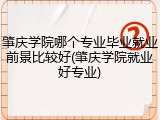 肇庆学院哪个专业毕业就业前景比较好(肇庆学院就业好专业)