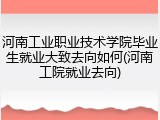 河南工业职业技术学院毕业生就业大致去向如何(河南工院就业去向)