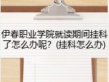 伊春职业学院就读期间挂科了怎么办呢？(挂科怎么办)