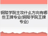 铜陵学院主攻什么方向有哪些王牌专业(铜陵学院王牌专业)