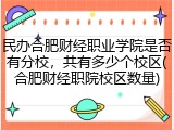民办合肥财经职业学院是否有分校，共有多少个校区(合肥财经职院校区数量)