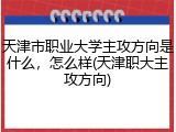 天津市职业大学主攻方向是什么，怎么样(天津职大主攻方向)