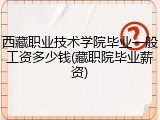 西藏职业技术学院毕业一般工资多少钱(藏职院毕业薪资)