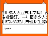 四川航天职业技术学院什么专业最好，一年招多少人(川航职院热门专业招生数)