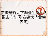 安徽建筑大学毕业生就业大致去向如何(安建大毕业生去向)