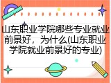山东职业学院哪些专业就业前景好，为什么(山东职业学院就业前景好的专业)