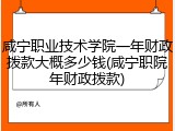 咸宁职业技术学院一年财政拨款大概多少钱(咸宁职院年财政拨款)