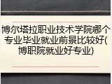 博尔塔拉职业技术学院哪个专业毕业就业前景比较好(博职院就业好专业)