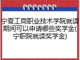 宁夏工商职业技术学院就读期间可以申请哪些奖学金(宁职院就读奖学金)