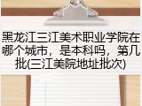 黑龙江三江美术职业学院在哪个城市，是本科吗，第几批(三江美院地址批次)