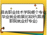 昌吉职业技术学院哪个专业毕业就业前景比较好(昌吉职院就业好专业)