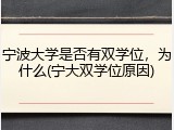宁波大学是否有双学位，为什么(宁大双学位原因)