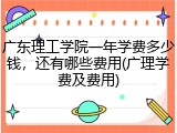 广东理工学院一年学费多少钱，还有哪些费用(广理学费及费用)