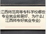 江西师范高等专科学校哪些专业就业前景好，为什么(江西师专好就业专业)