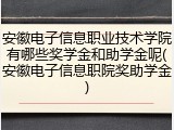 安徽电子信息职业技术学院有哪些奖学金和助学金呢(安徽电子信息职院奖助学金)