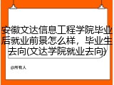 安徽文达信息工程学院毕业后就业前景怎么样，毕业生去向(文达学院就业去向)