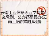 云南工业信息职业学院是什么级别，公办还是民办(云南工信院属性级别)