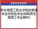 黔东南理工职业学院的普通专业和特色专业详解(黔东南理工专业解析)