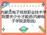 内蒙古电子信息职业技术学院要多少分才能进(内蒙电子学院录取线)