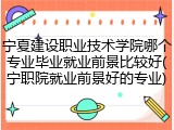 宁夏建设职业技术学院哪个专业毕业就业前景比较好(宁职院就业前景好的专业)