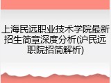上海民远职业技术学院最新招生简章深度分析(沪民远职院招简解析)