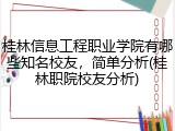 桂林信息工程职业学院有哪些知名校友，简单分析(桂林职院校友分析)