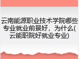 云南能源职业技术学院哪些专业就业前景好，为什么(云能职院好就业专业)